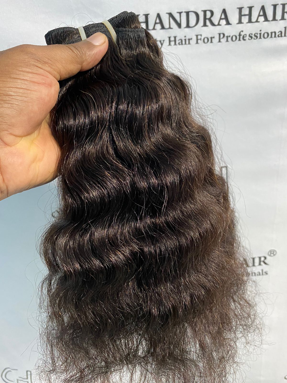 Loose curly unprocessed North Indian hair wefts, Chandra Hair product photo