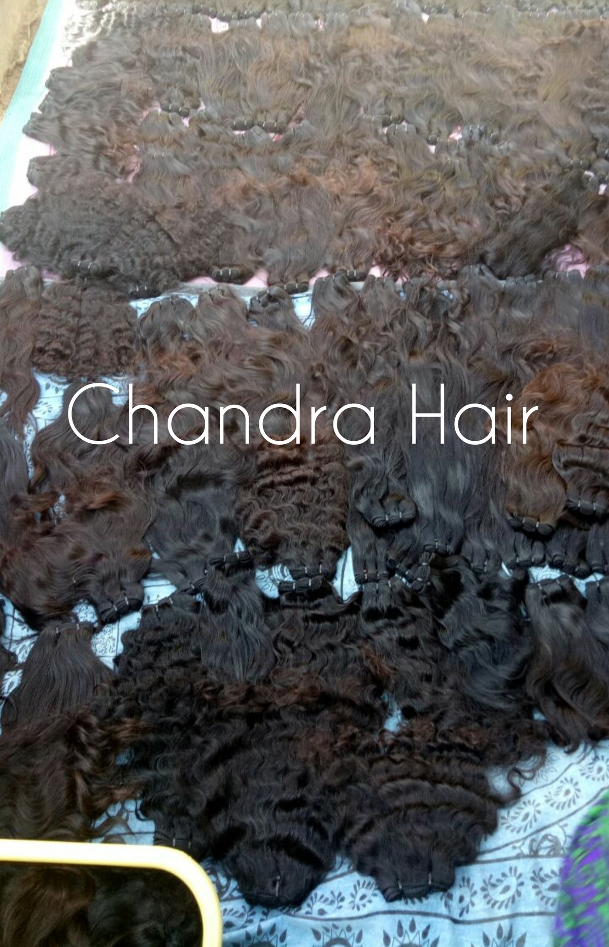 Natural wavy single-donor South Indian hair wefts, Chandra Hair product photo, image 9